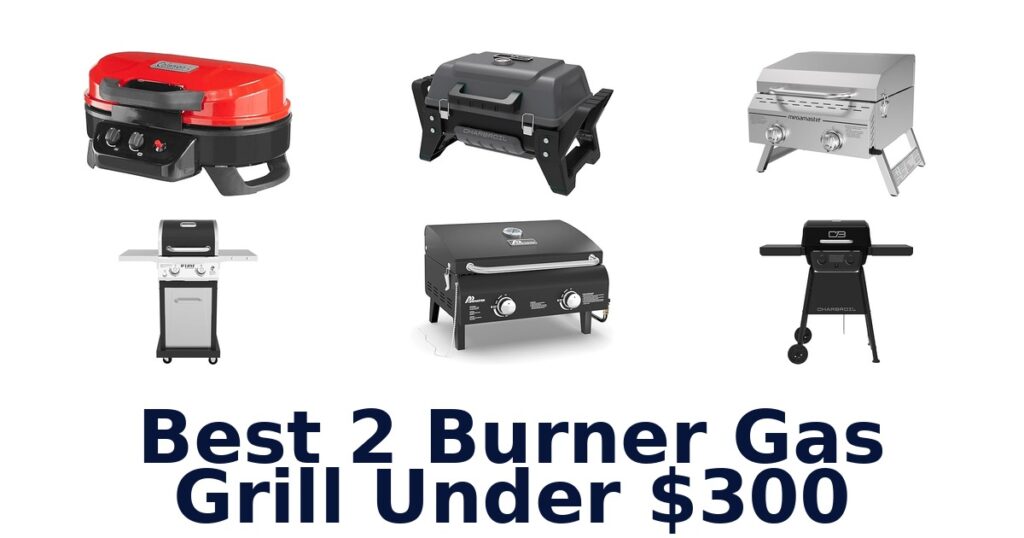 Best 2 Burner Gas Grills Reviewed Under $300 best 2 burner gas grill under $300