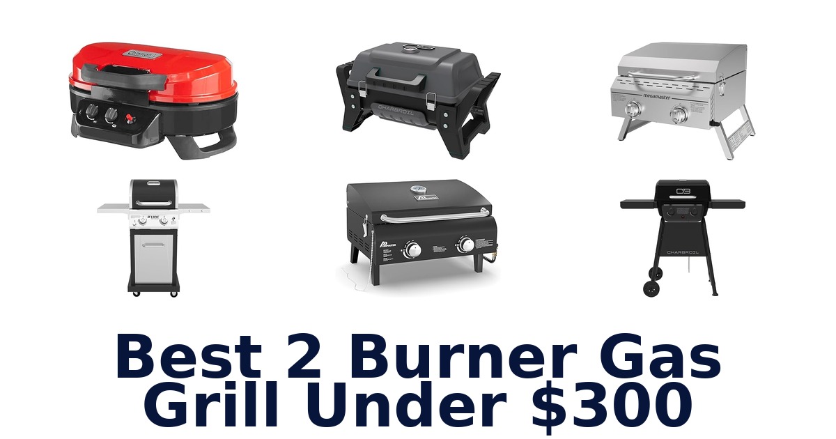 best 2 burner gas grill under $300