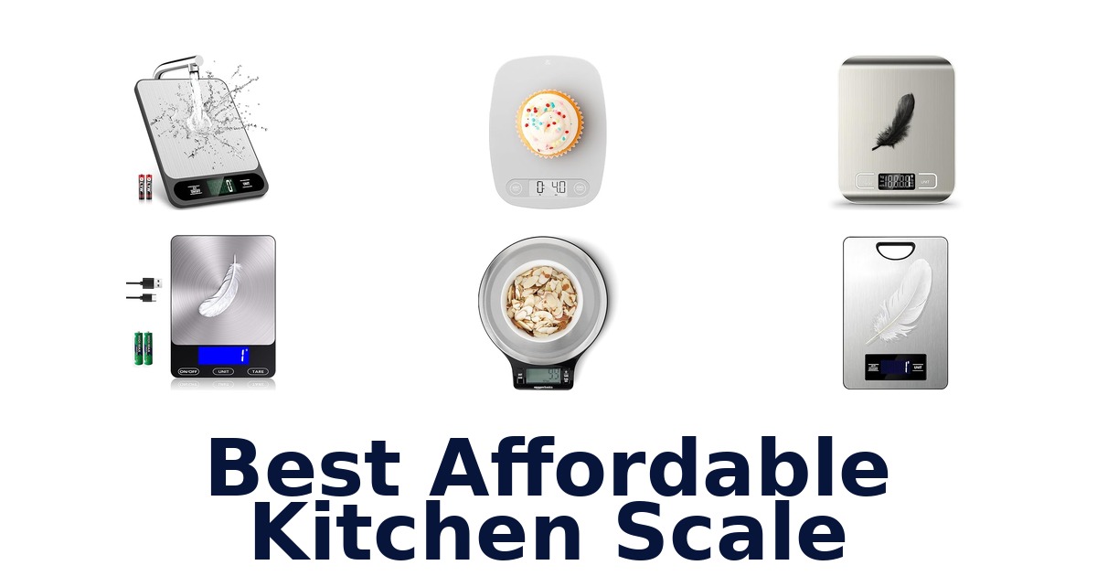 best affordable kitchen scale