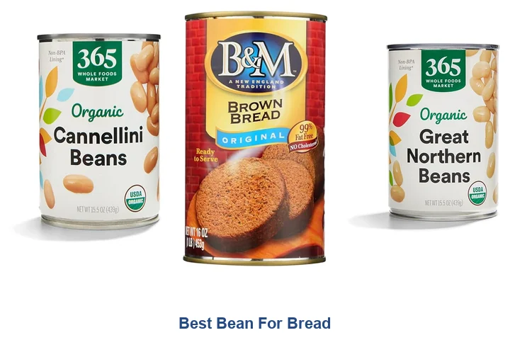 Best Bean For Bread: Top 5 Picks Now Best Bean For Bread