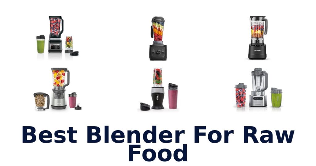 best blender for raw food