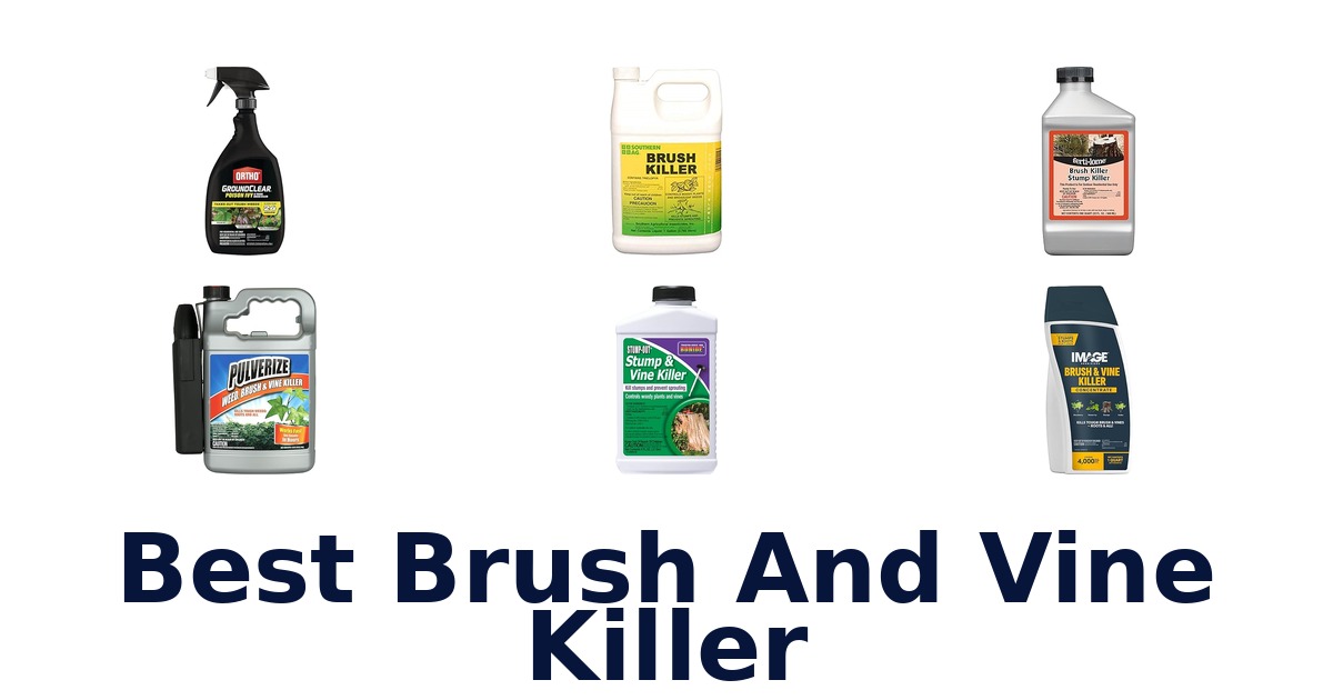 best brush and vine killer
