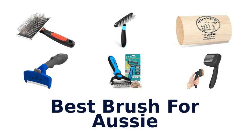 best brush for aussie