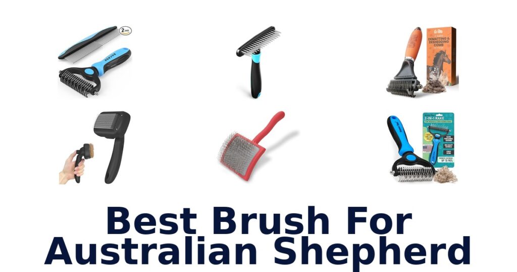 best brush for australian shepherd