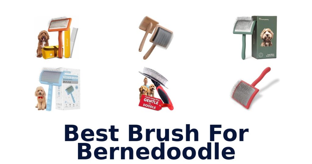 best brush for bernedoodle