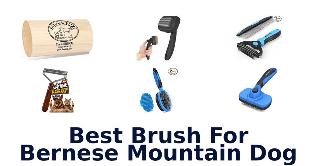 best brush for bernese mountain dog