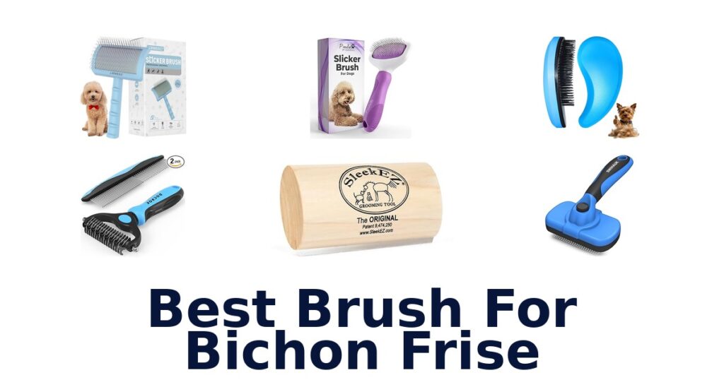 BEST Bichon Frise Brushes: Top 10 Picks for Fluffy Coats best brush for bichon frise