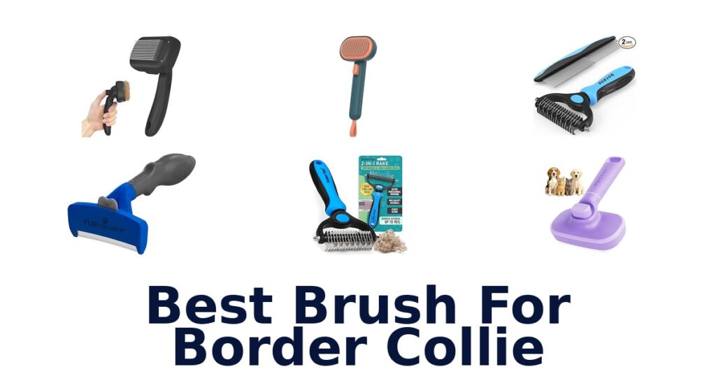 best brush for border collie
