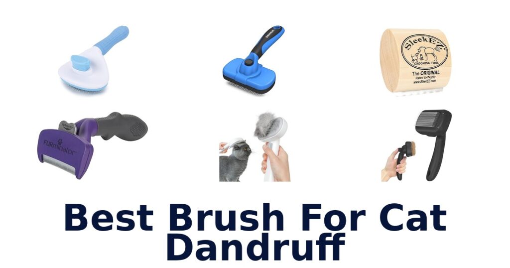 best brush for cat dandruff