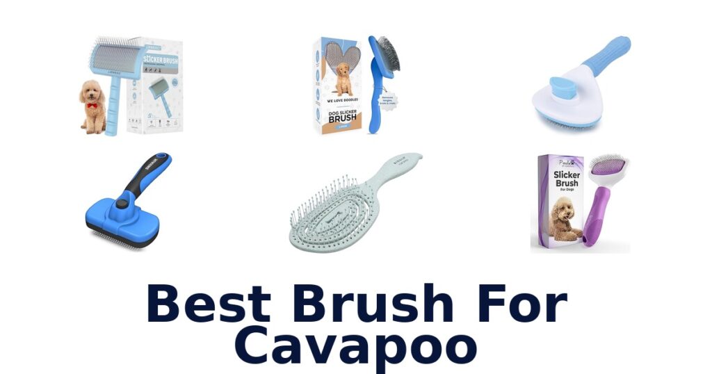 Best Brush for Cavapoo: Top 10 Picks best brush for cavapoo