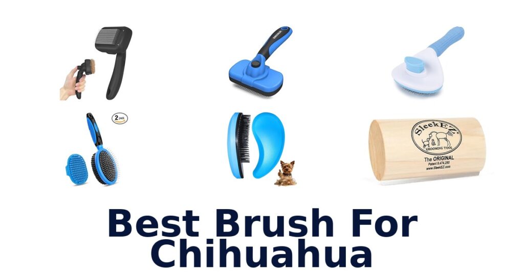 Best Brush for Chihuahua: Top 10 Picks best brush for chihuahua