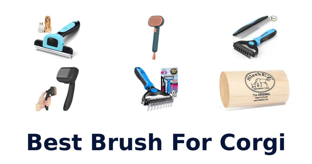 best brush for corgi