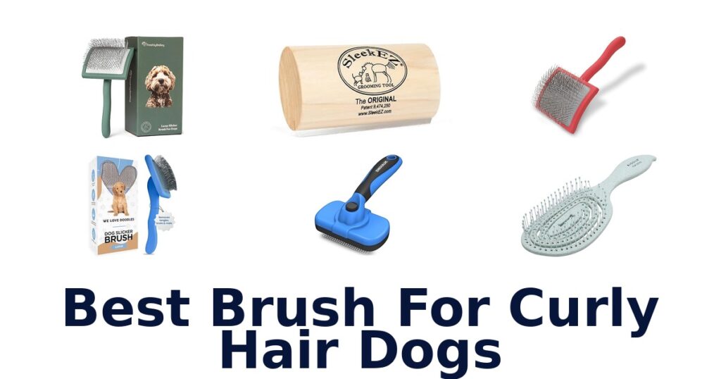 Best Brushes for Curly Dog Hair: Top 10 Picks! best brush for curly hair dogs