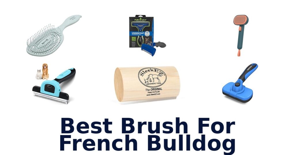 best brush for french bulldog