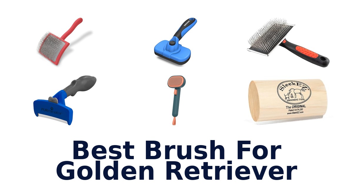 best brush for golden retriever
