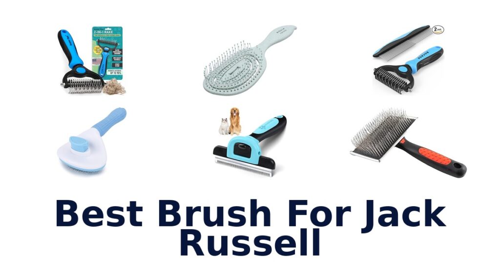 Best Brush for Jack Russell: Top 10 Picks best brush for jack russell