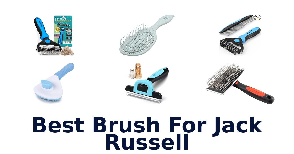 best brush for jack russell