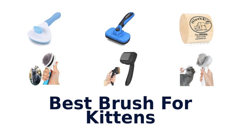 best brush for kittens