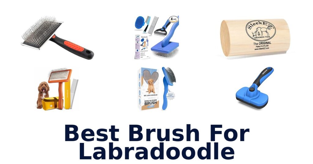 Best Brush for Labradoodle: Top 10 Picks best brush for labradoodle