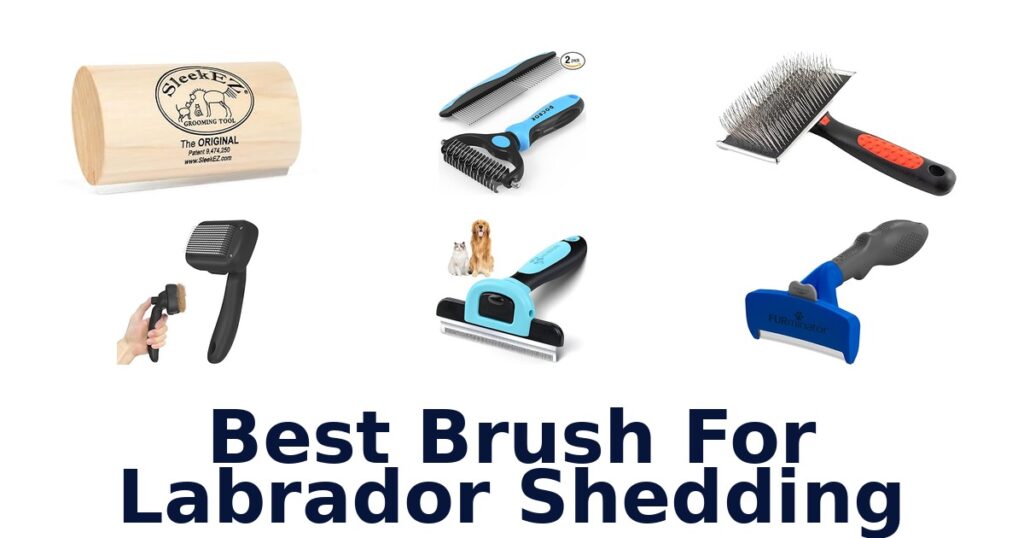 BEST Brushes for Labrador Shedding: Top 10 Picks best brush for labrador shedding