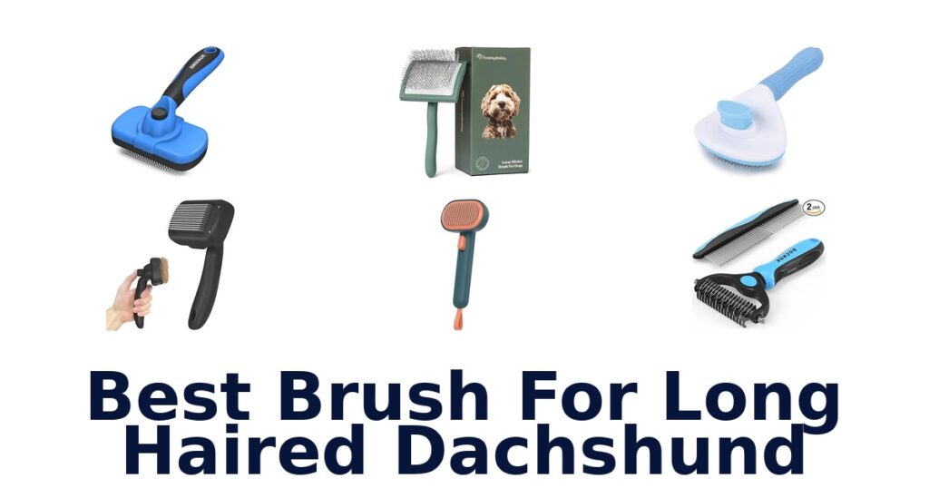 Best 10 Brushes for Long Haired Dachshunds best brush for long haired dachshund