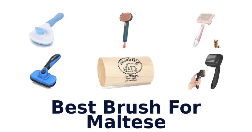 Best Brush for Maltese: Top 10 Picks 2026 best brush for maltese