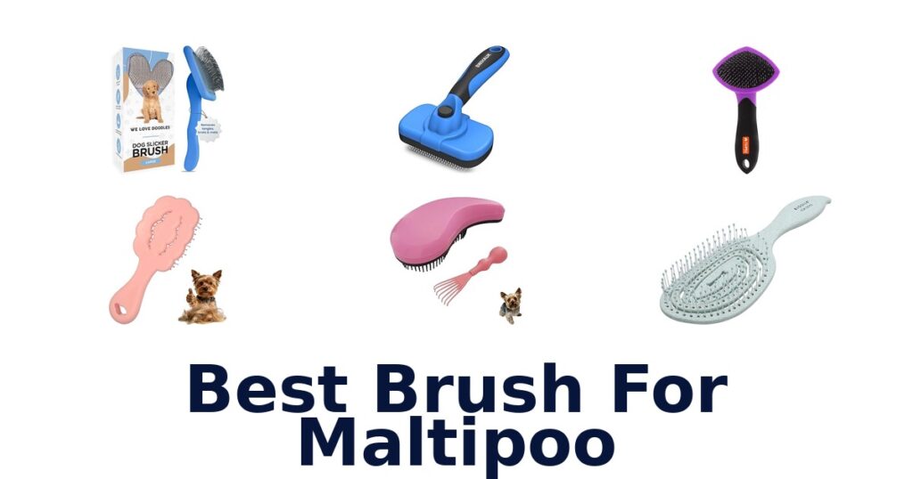 Best Brush for Maltipoo: Top 10 Picks best brush for maltipoo