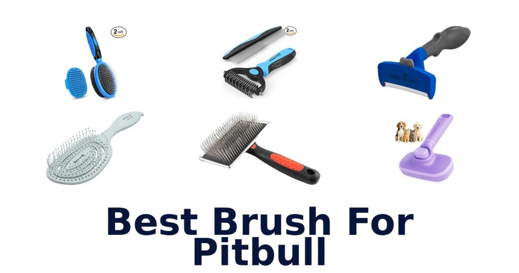 Best Brush for Pitbull Coats: Top 10 Picks best brush for pitbull