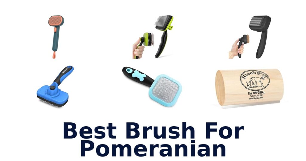 best brush for pomeranian