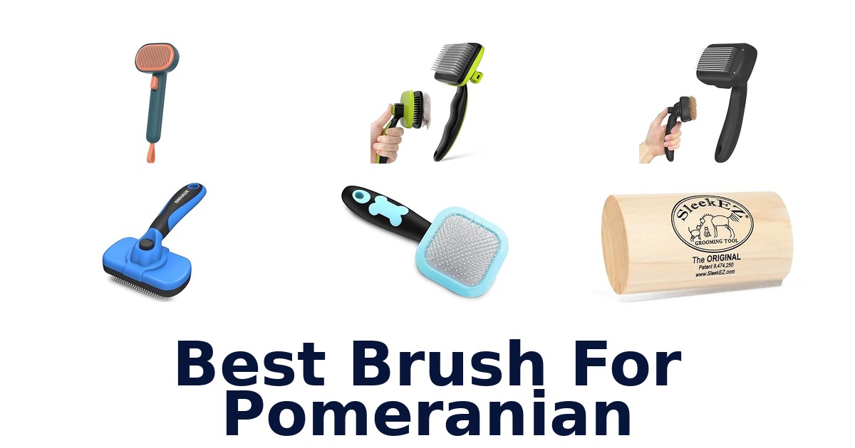 best brush for pomeranian
