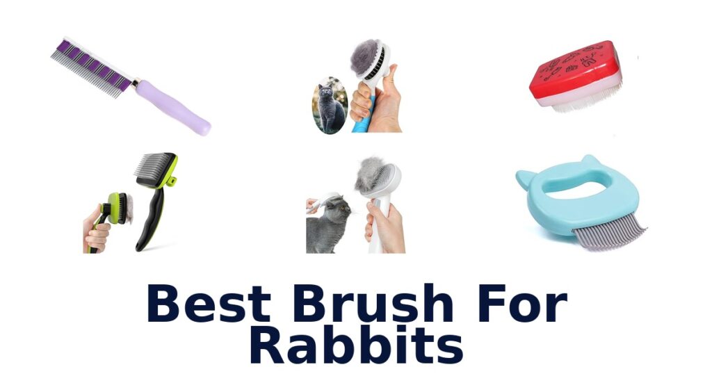 Best Rabbit Brushes: Top 10 Picks! best brush for rabbits
