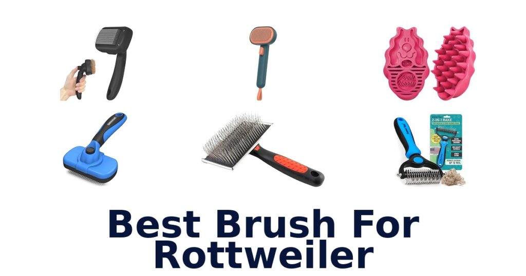 Best Brush for Rottweiler: Top 10 Picks! best brush for rottweiler