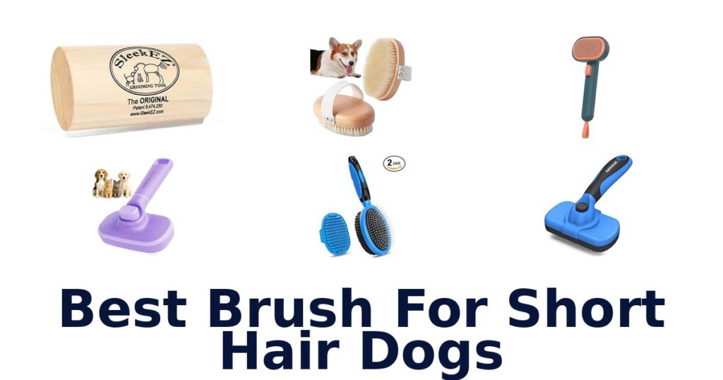 Best Brushes for Short Hair Dogs: Top 10 Picks best brush for short hair dogs