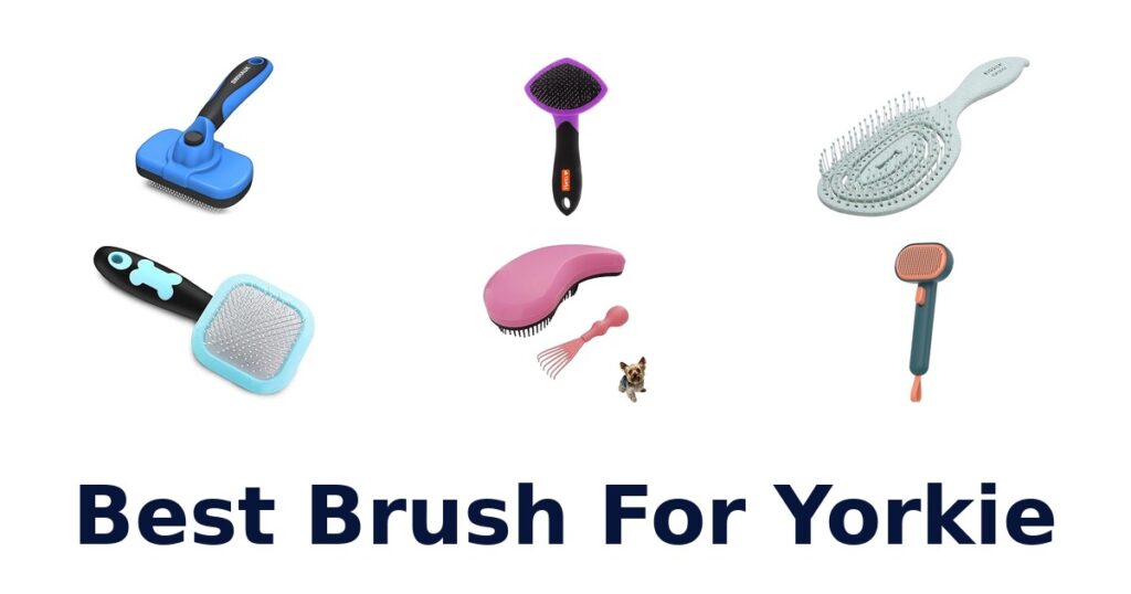 Yorkie Brush: Top 10 Picks for Flawless Fur best brush for yorkie