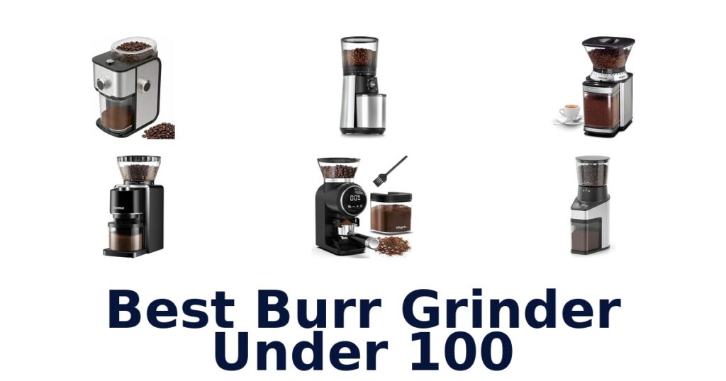 BEST Burr Grinders Under $100: Top 10 Picks best burr grinder under 100