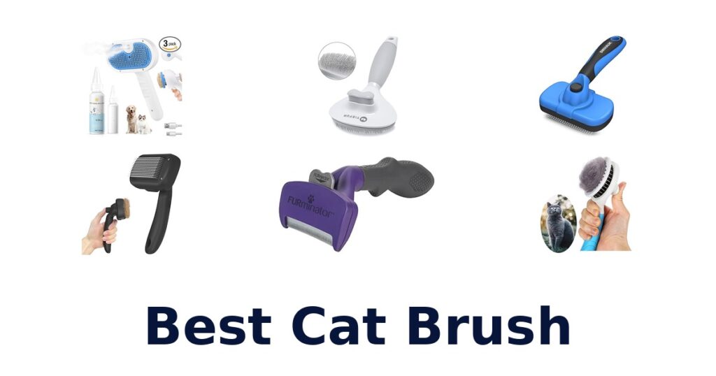 Best Cat Brush Models: Top 10 Picks Revealed! best cat brush