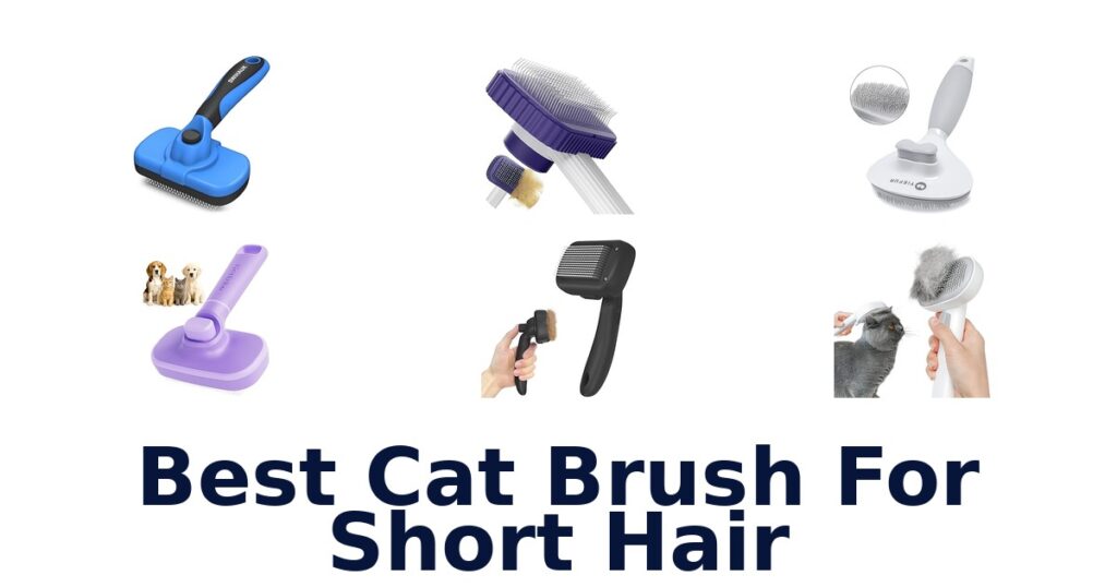 best cat brush for short hair