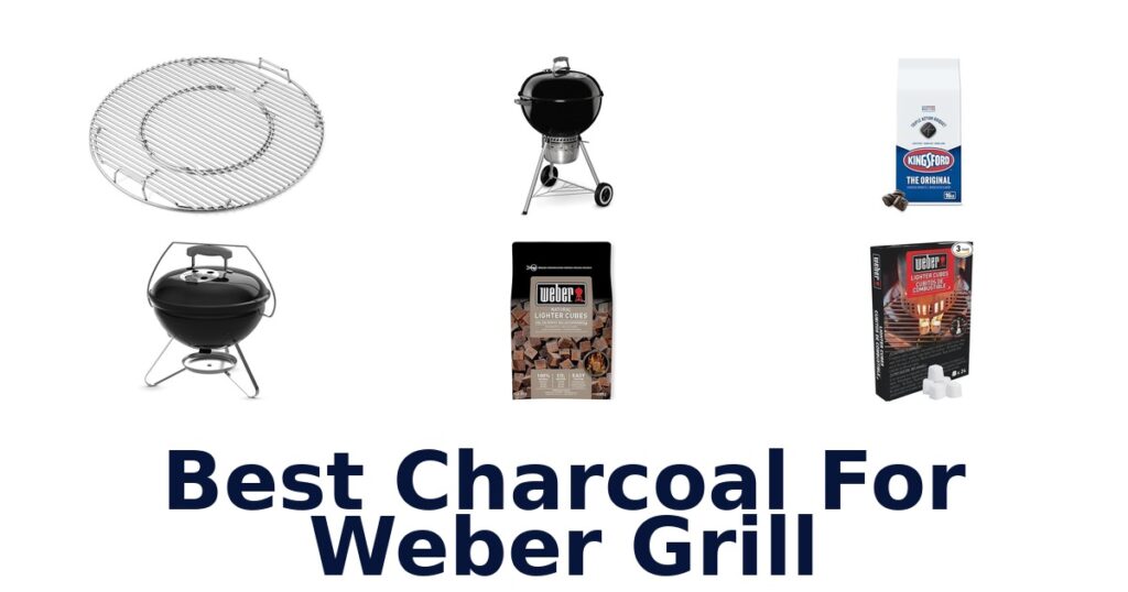 best charcoal for weber grill