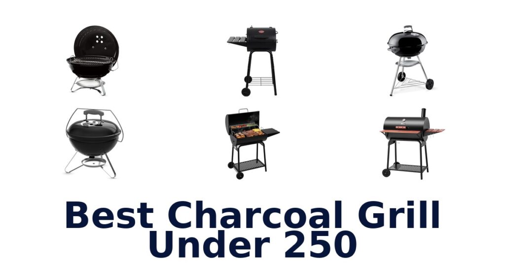 Best Charcoal Grills Under $250: Top 10 Picks best charcoal grill under 250