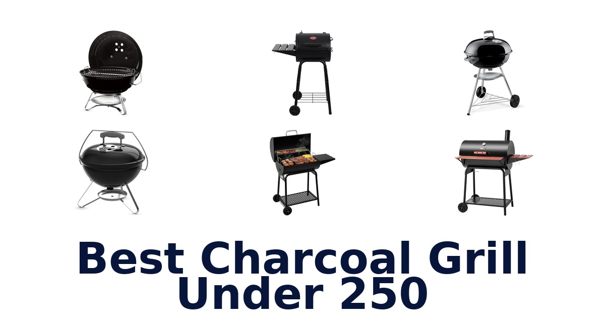 best charcoal grill under 250
