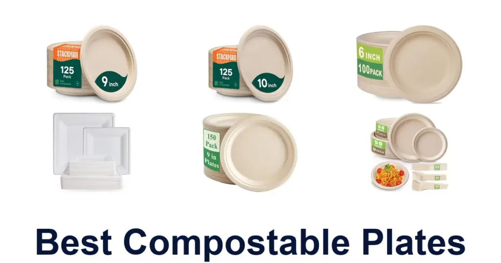 BEST Compostable Plates: Top 10 Eco-Friendly Picks best compostable plates