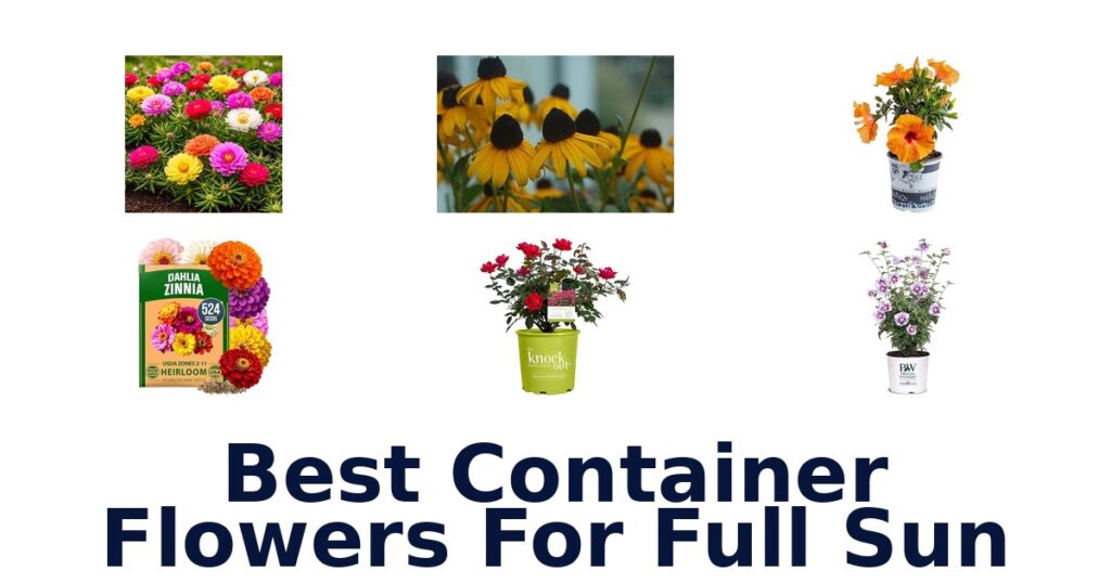 Best Container Flowers for Full Sun: Top 10 Picks best container flowers for full sun