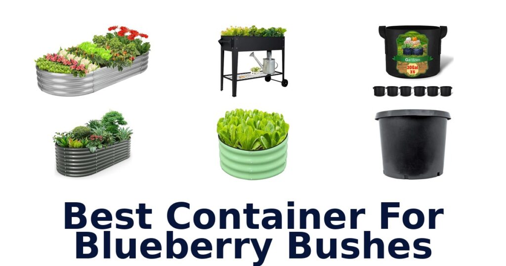 Best Containers for Blueberry Bushes: Top 10 Picks best container for blueberry bushes