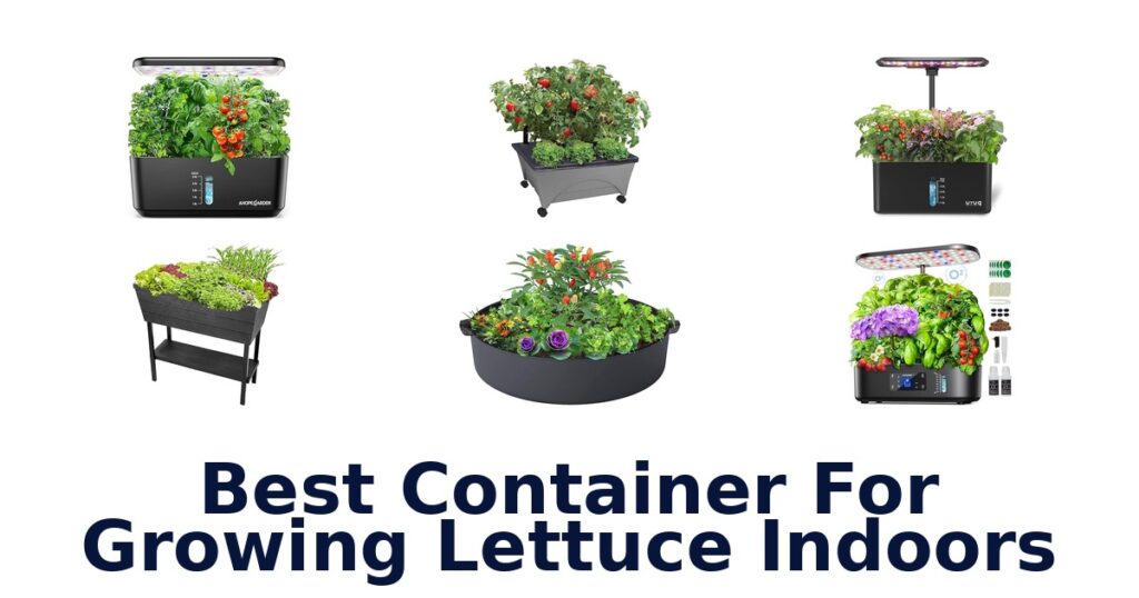 best container for growing lettuce indoors