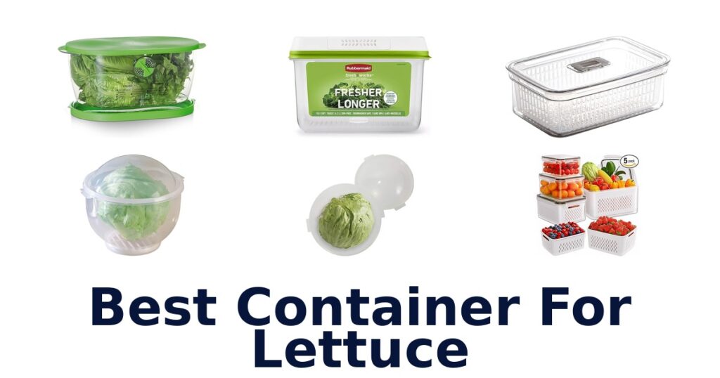 best container for lettuce
