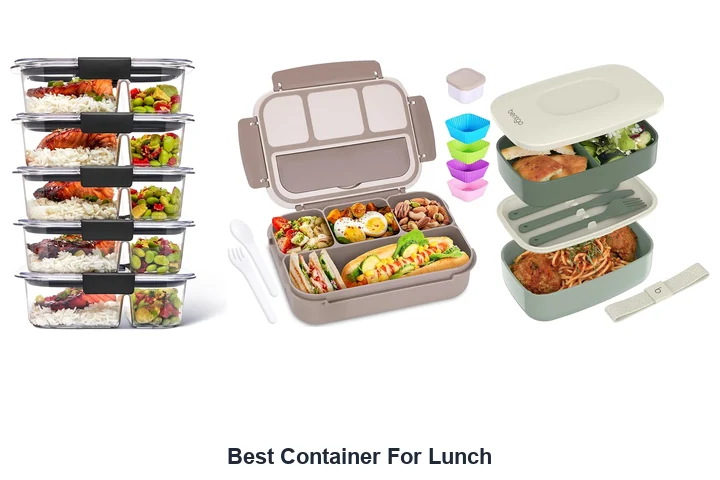 Best Container For Lunch: Top Picks Now Best Container For Lunch
