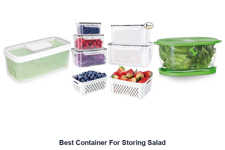 Best Container For Storing Salad: Top Picks Best Container For Storing Salad