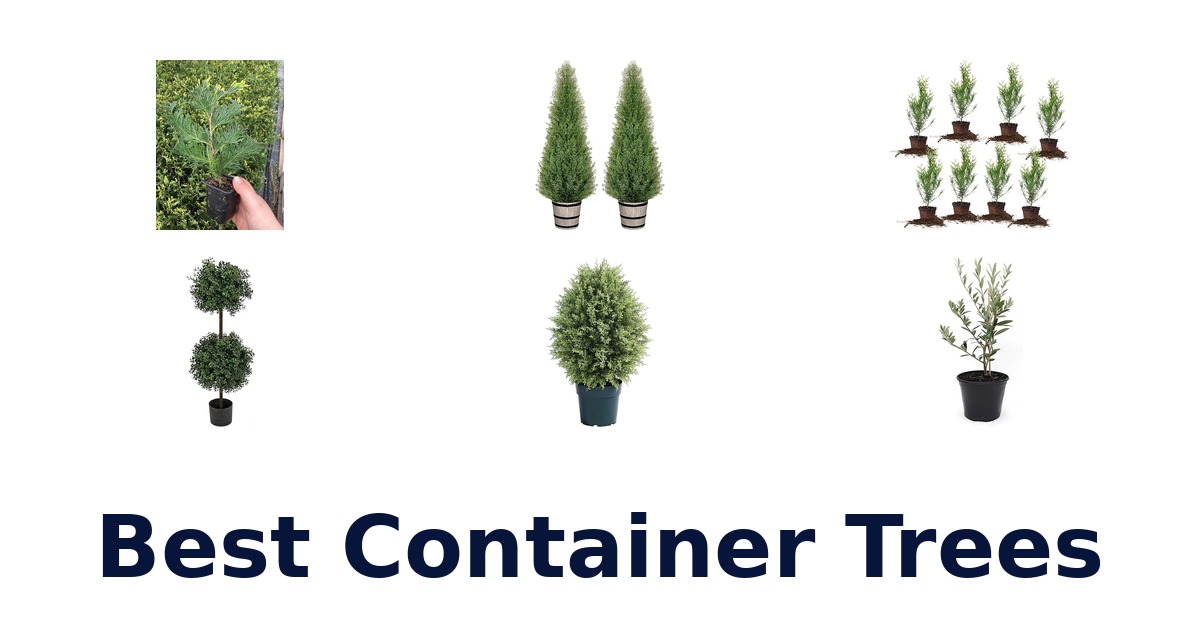 best container trees