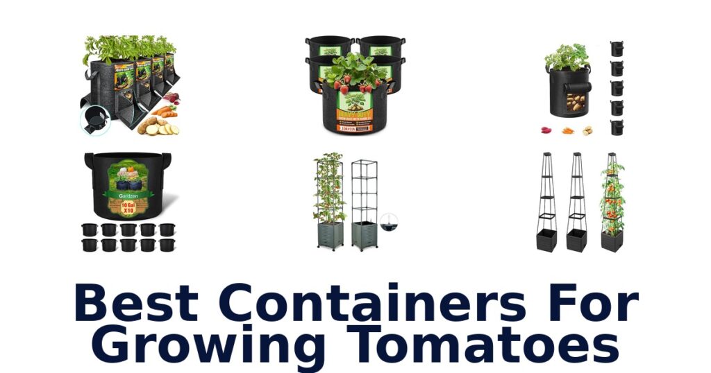 best containers for growing tomatoes