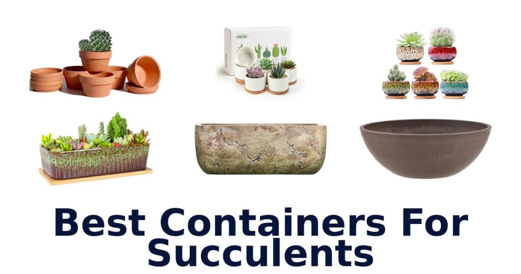 Best Containers for Succulents: Top 10 Picks best containers for succulents
